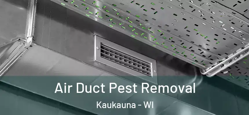 Air Duct Pest Removal Kaukauna - WI