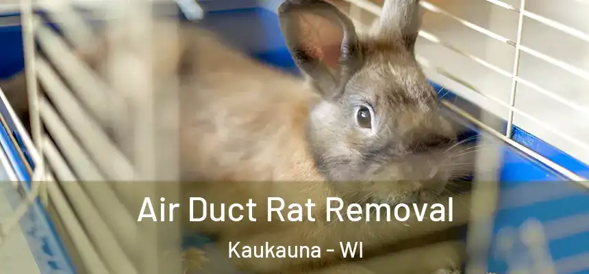 Air Duct Rat Removal Kaukauna - WI