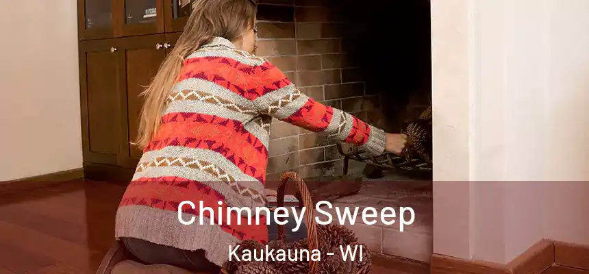 Chimney Sweep Kaukauna - WI