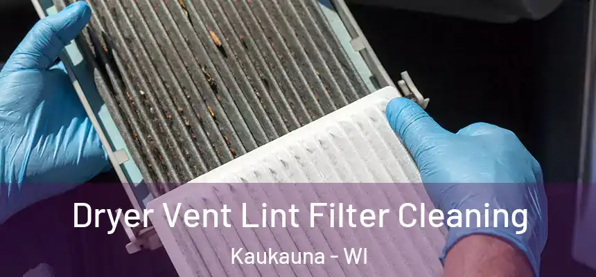 Dryer Vent Lint Filter Cleaning Kaukauna - WI