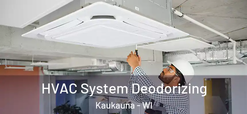 HVAC System Deodorizing Kaukauna - WI