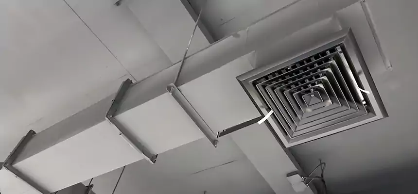 Our Rodent Droppings In Vents Services in Kaukauna, WI