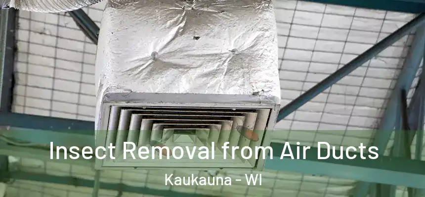 Insect Removal from Air Ducts Kaukauna - WI