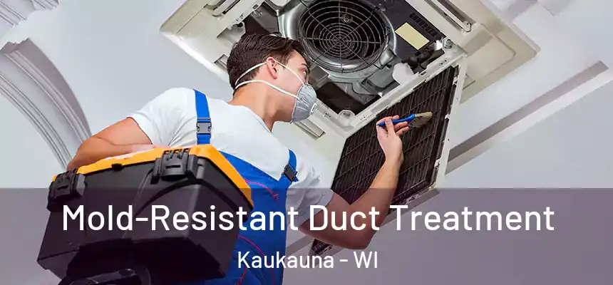  Mold-Resistant Duct Treatment Kaukauna - WI