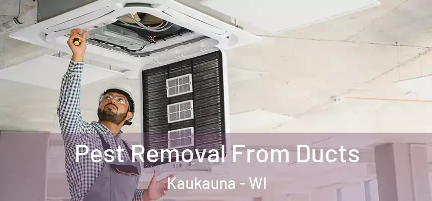  Pest Removal From Ducts Kaukauna - WI