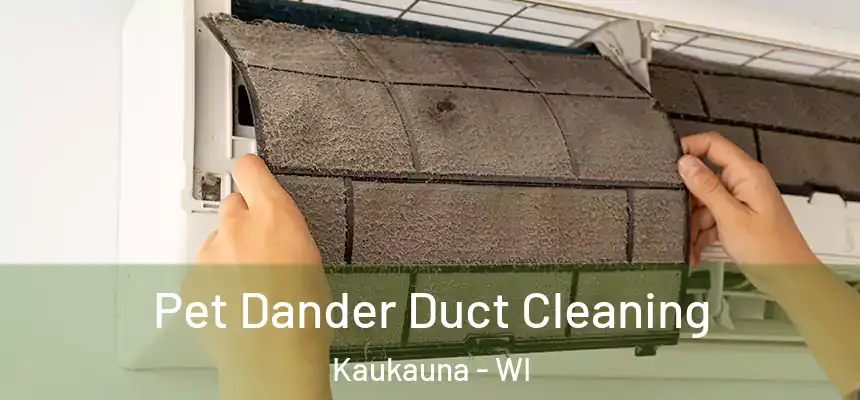 Pet Dander Duct Cleaning Kaukauna - WI