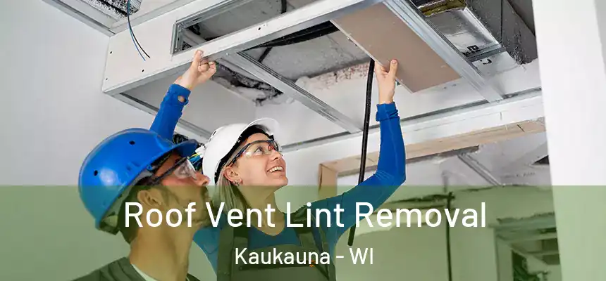 Roof Vent Lint Removal Kaukauna - WI