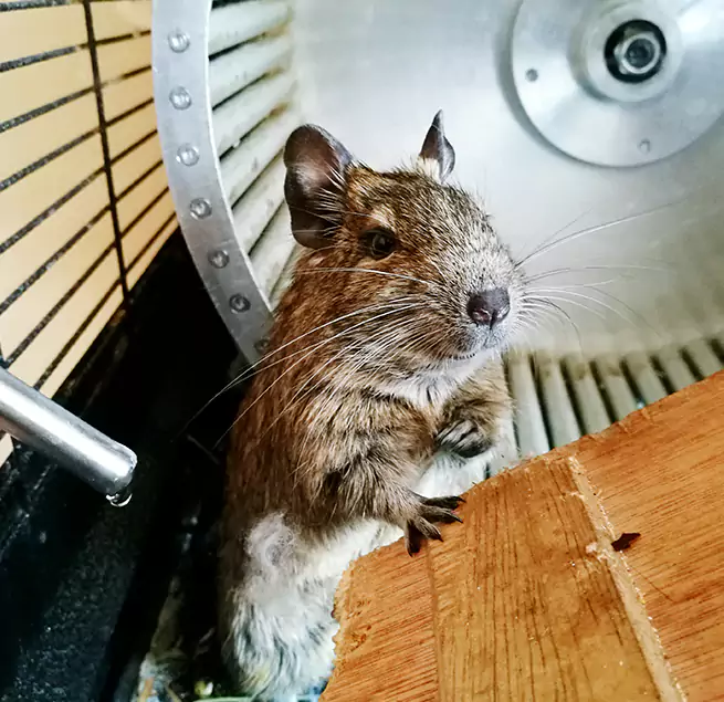 Why Homeowners & Businesses Trust Us Kaukauna, WI