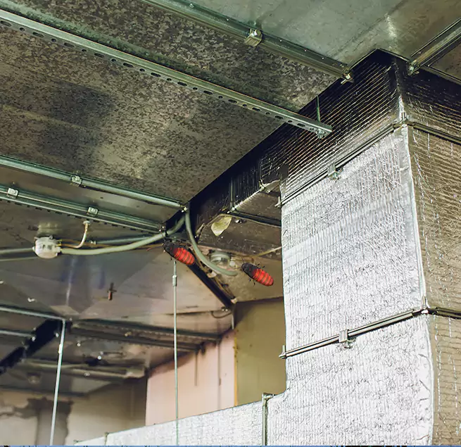 Why Homeowners & Businesses Trust Us Kaukauna, WI?