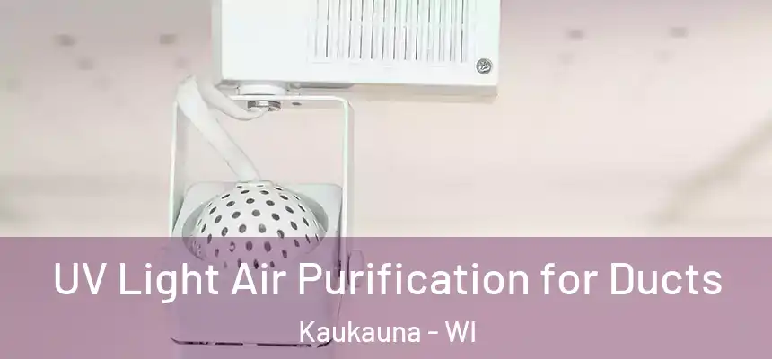 UV Light Air Purification for Ducts Kaukauna - WI